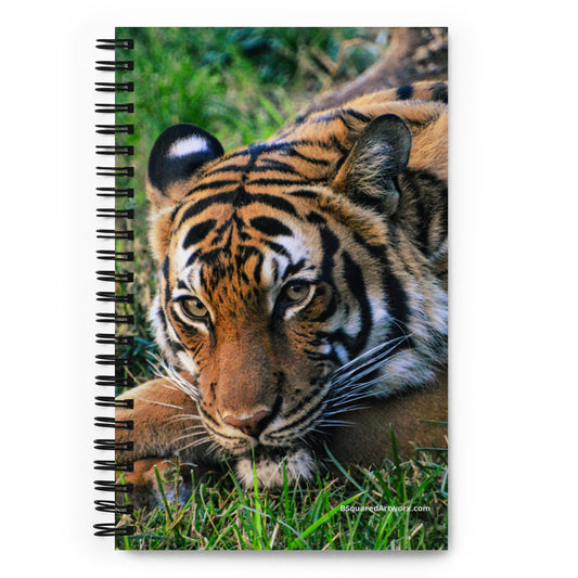 Spiral notebook - Tiger 5