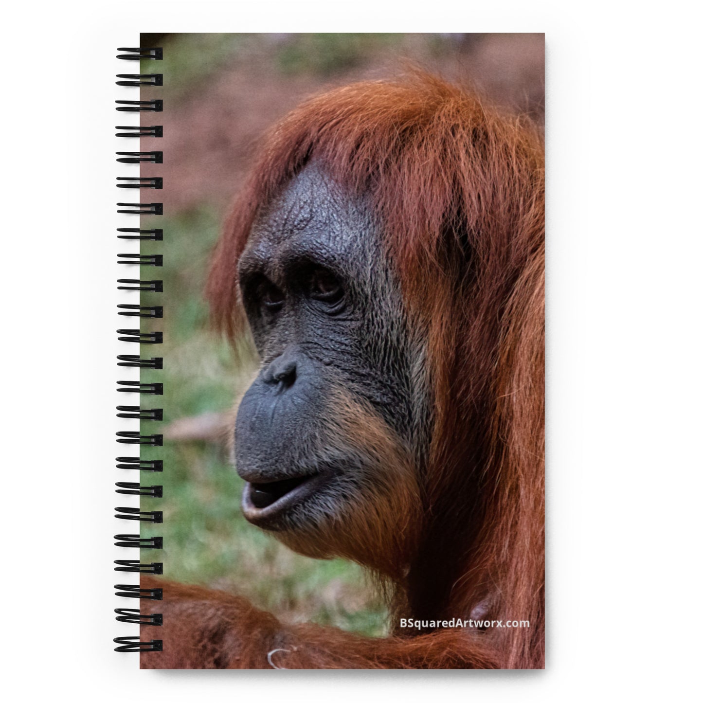 Spiral notebook - Orangutan