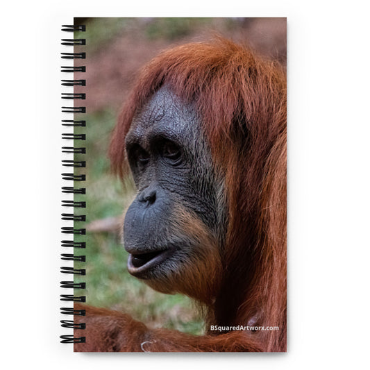 Spiral notebook - Orangutan