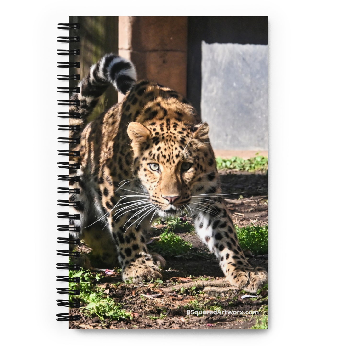 Spiral notebook - Crouching Leopard 1
