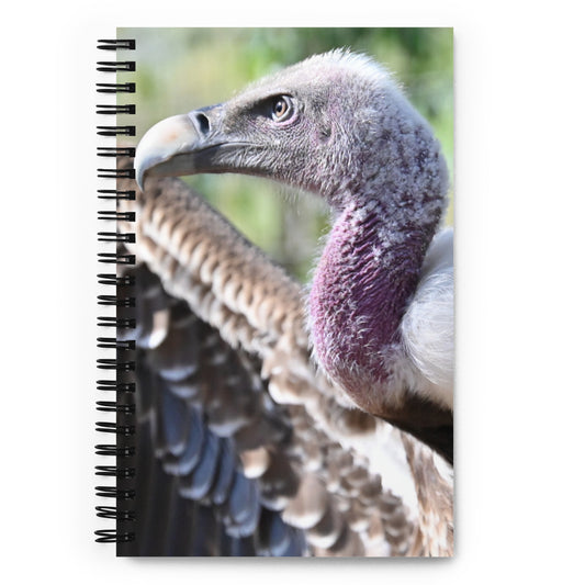 Spiral notebook - Vulture 2