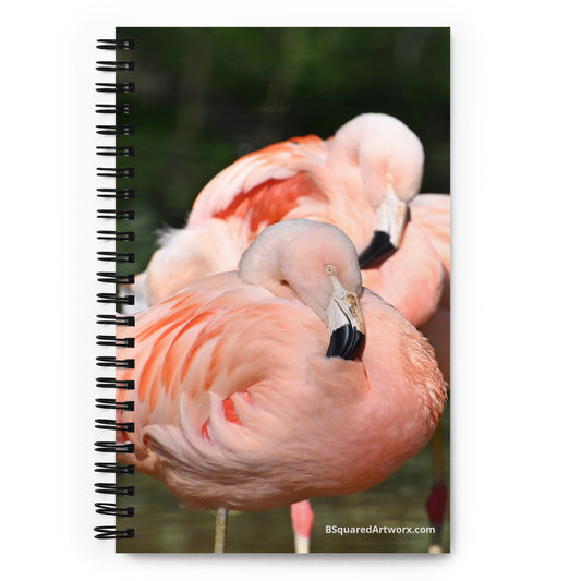 Spiral notebook - Flamingo 5